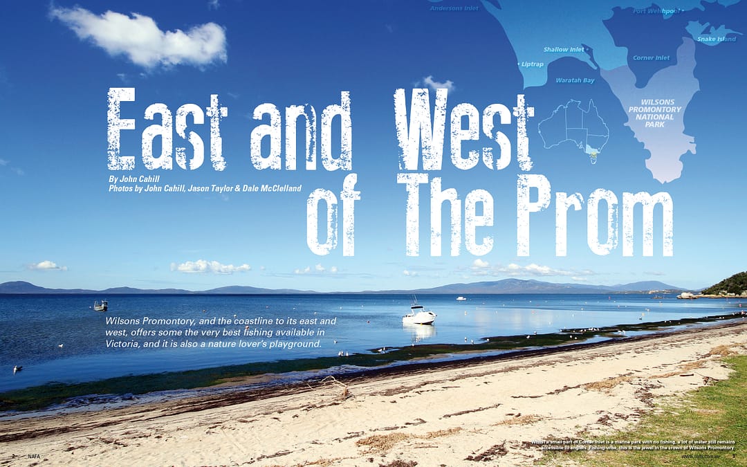 "East And West Of The Prom" opening spread for NAFA magazine.