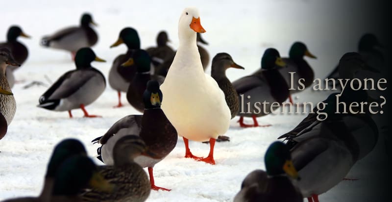 WHAT LANGUAGE ARE YOU SPEAKING?