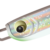 tight crop for detail on metal baitfish lure hyper-real illustration by Jo Starling Creative